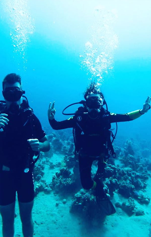 snorkle2